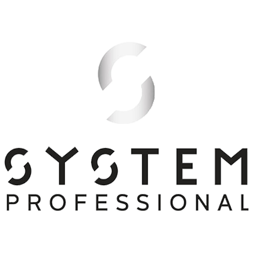 System Professional